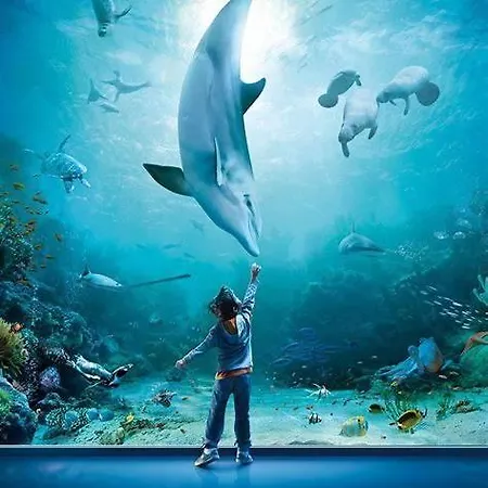 Le Caravelle A 150 Mt A Piedi Dalle Spiagge Chiavari